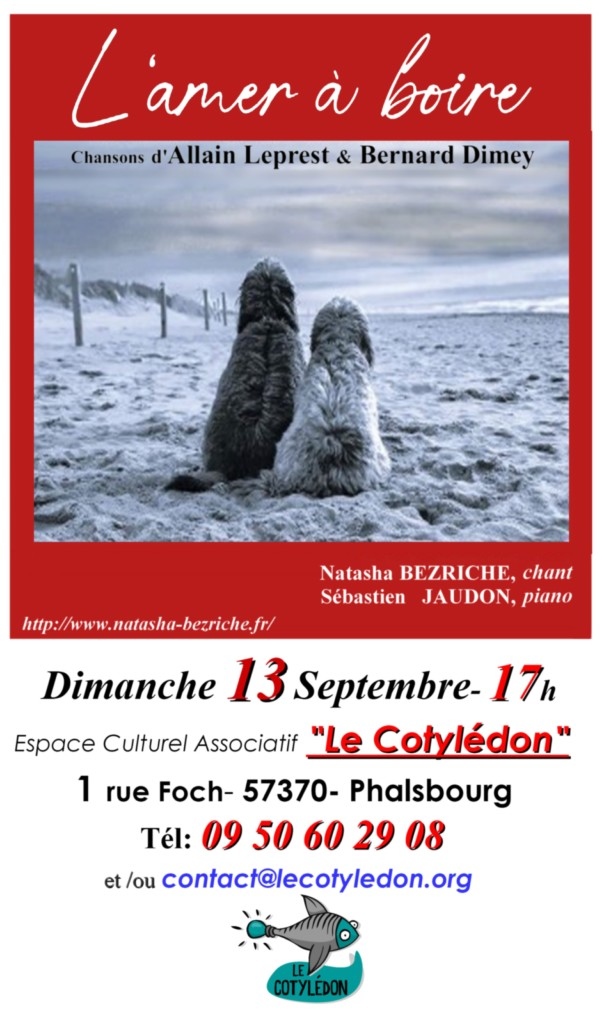 affiche spectacle l'amer à boire du 13/09/2026
